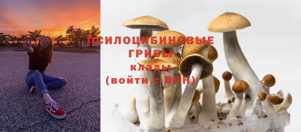 скорость Белокуриха